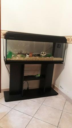 Acquario modello mtr mondolife da 118 litri misure 100&times;47&times;