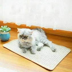Gatto Grattare Tavola Sisal Pastiglia Mola Artigli Stuoia An