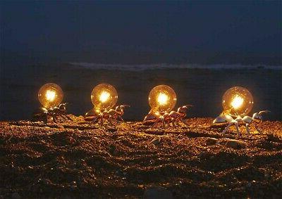 atlante lampada tavolo in resina con bagno