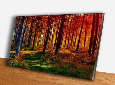 quadro paesaggio bosco stampa hr su tavola