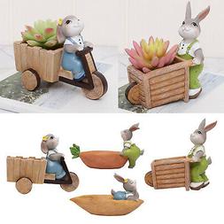 Per Soggiorno Con Fioriera Succulenta Animali In